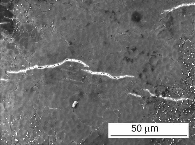in the cast material. The grains formed by solid solution with low density of Mg 17Al 12 particles were predominant places of slip band formation, Fig. 4b.