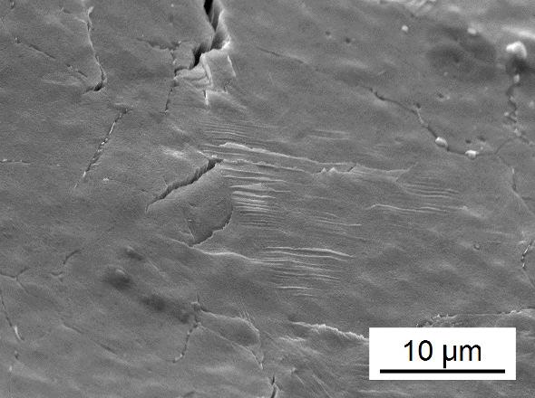 Slip bands in alloy after ECAP, specimen tested at σ a = 180 MPa, N f = 1 473 cycles. An example of the surface of large grained area of the bimodal structure after fatigue loading can be seen in Fig.