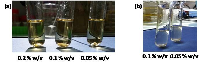 7. Solubility test of chitin in room temperature ionic liquids The experimental procedure used for this solubility test was adapted from the one proposed by Fukaya et al about dissolution studies of
