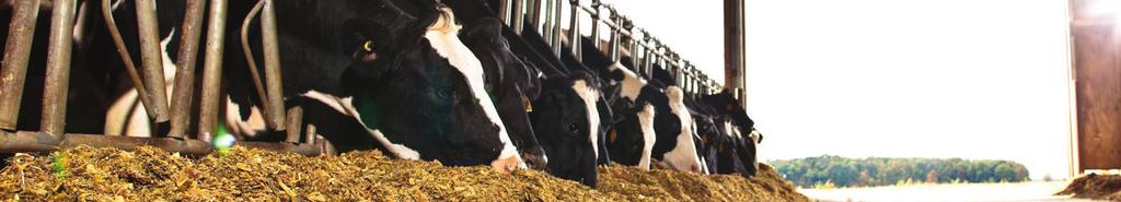 TOP DEKALB CORN SILAGE BRANDS FOR 2017 DEKALB Corn Silage Brands Value Added Trait Relative Maturity Silage Yield @ 65% Moisture NDFd 30 hr % Starch Milk per Ton Milk per Acre DKC39-07RIB Blend