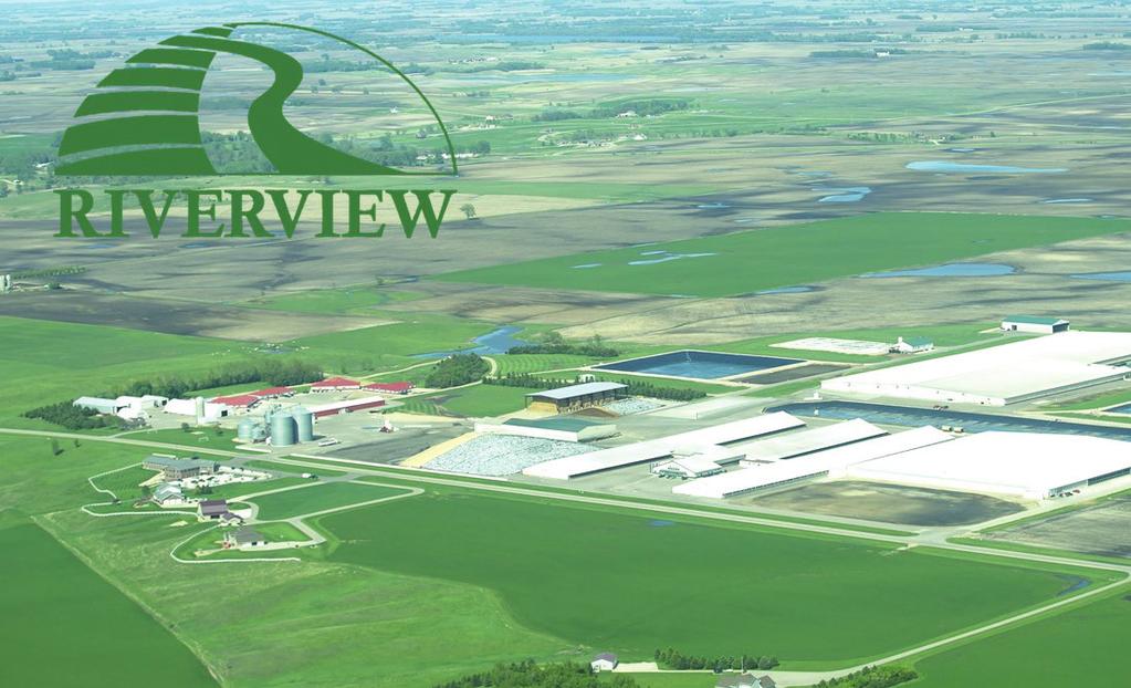 Mark Hockel, master agronomist at Riverview Dairy LLP, is based in Morris, Minnesota.