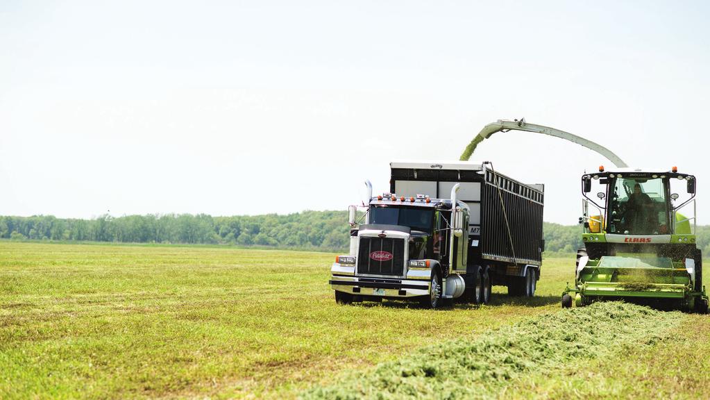 Sponsored Content Silage success starts with planning, and the Silage Resource Guide was developed with that in mind.