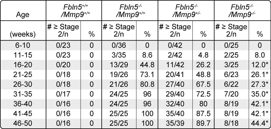 Table S2. Absence of Mmp9 alters the frequency of POP in nulliparous Fbln5 -/- mice.