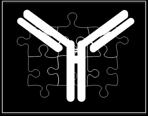 Integrated antibody discovery