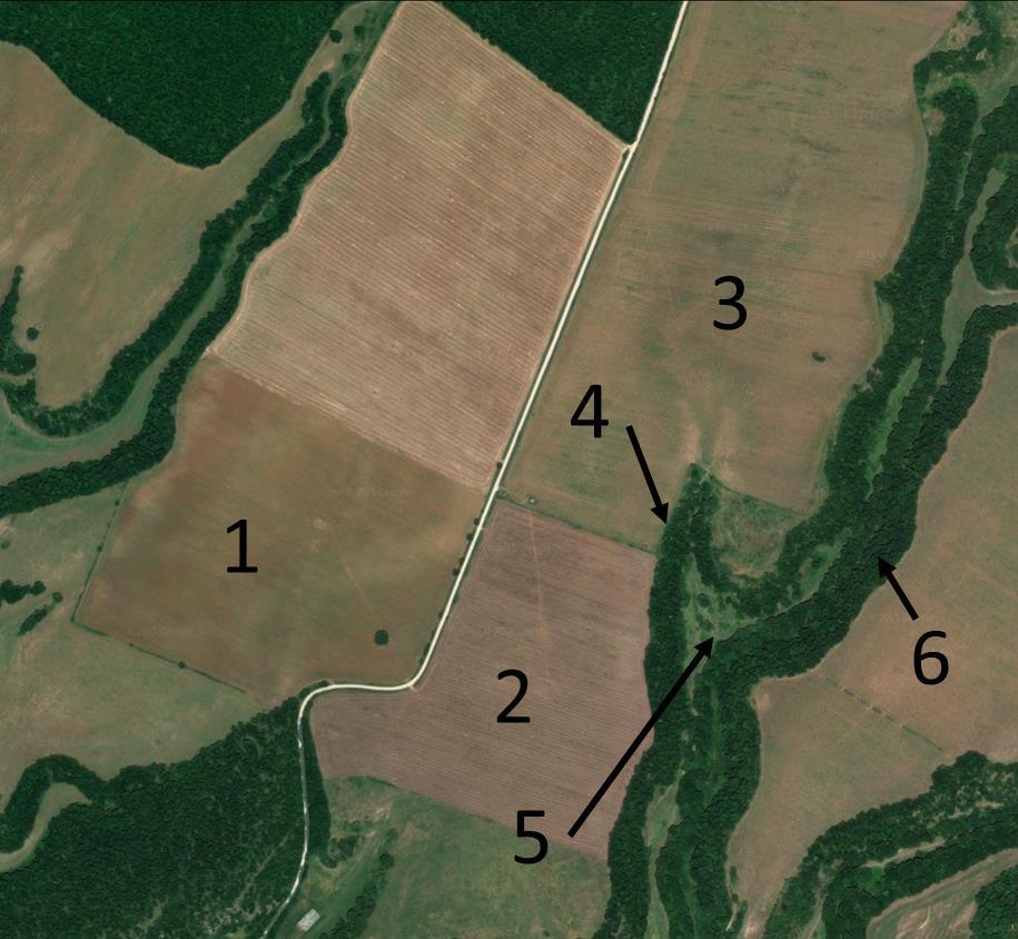 Option 2 If the image allow easy identification of the different plots/vegetation type (e.g. because it is already a classification map), a simplified report can be also used (map and legend).
