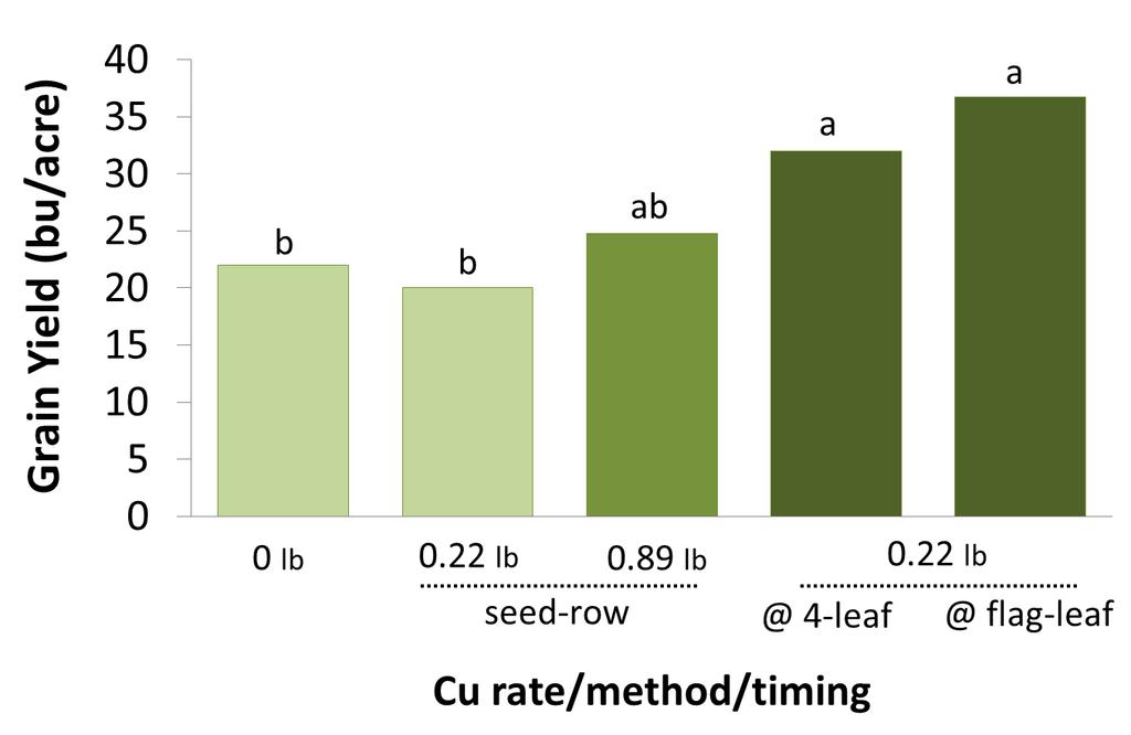 Copper Rate, Method and Timing Effects SW Grain Yield Low rates and lack of dispersion in soil limit