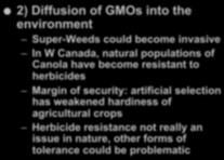 resistant to herbicides Margin of security: artificial selection has