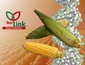 the environment Ex: Starlink Corn (B.t.) Protein product Cry9C (similar to