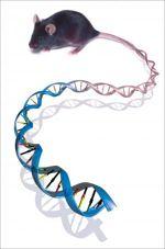 Many interactions exist between genes and the