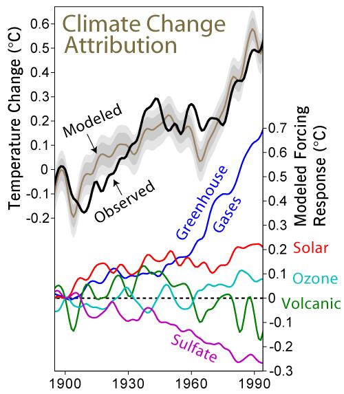 Climate Forcings Figure 17: Model results of 20th century climate, with contributions from various forcings.