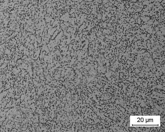 Annealed microstructure
