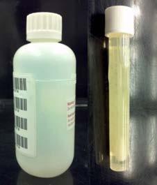 Environmental Testing (cont.) Why sample (proactive)?