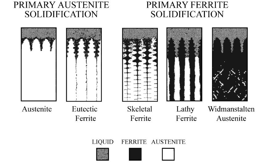 Widmanstätten Austenite Figure 2-11 Schematic diagram of primary solidification modes in Fe-Cr-Ni alloys and resulting ferrite morphologies [8, 66] 2.