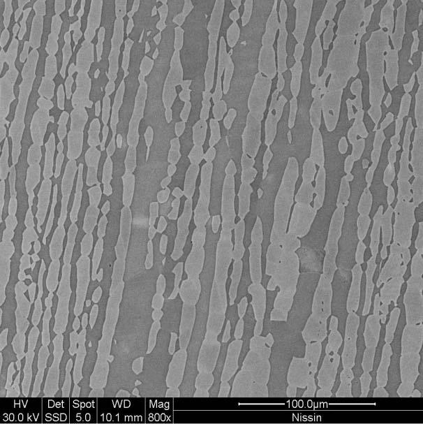 Figure 4-3 SEM image of UNS 2507 base metal etched with 40% NaOH at X800