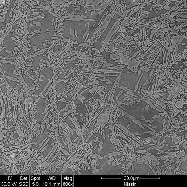 magnification Figure 4-7 SEM image of the