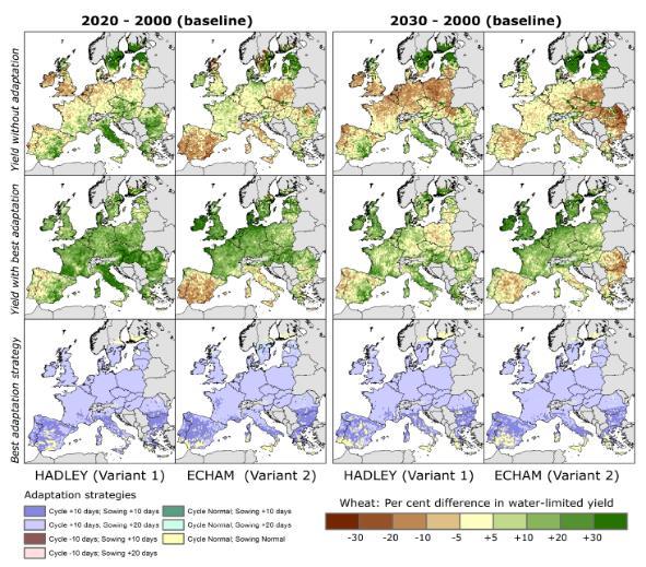 Climate change impact on agricultural production (model)
