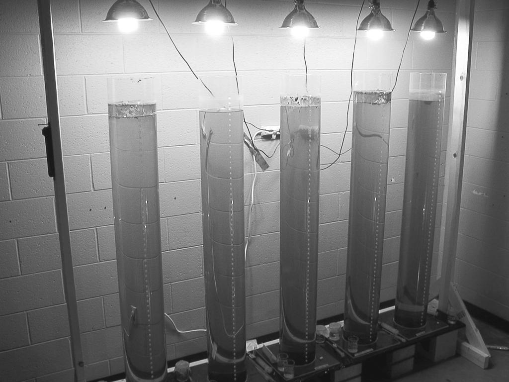 May 2012 COMPETITION FOR NUTRIENTS AND LIGHT 253 PLATE 1. Several plankton towers used in experiment. Note that towers were covered by black sheeting during experiment. Photo credit: J. P. Mellard.