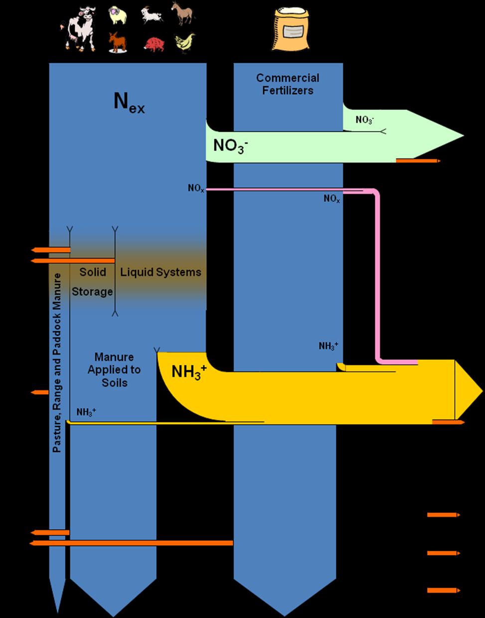 Figure 1 Nitrogen-Flow through the Agricultural system and associated emissions of nitrous
