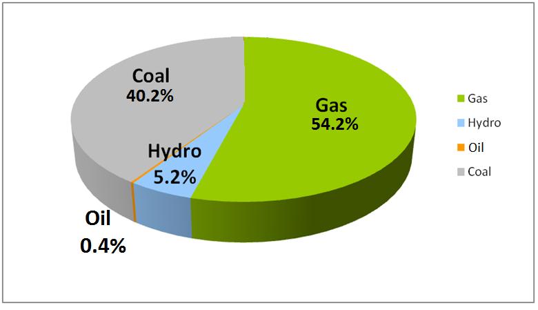Dependency on Fossil Fuel, 2010 Fossil fuels dominate 95% of total energy mix Need to DIVERSIFY and reduce