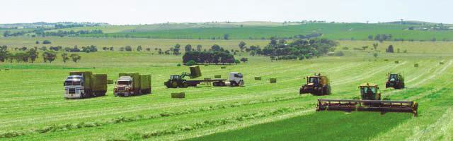 In 1987/88 just over 20,000mt of Oaten Hay was exported to Japan.
