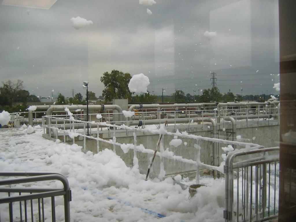Foaming Lots of foam covered BAF cells on startup Primary effluent dosed