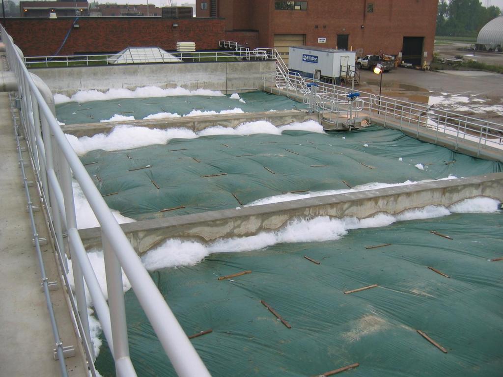 establishment of sufficient biomass, foam subsided Foaming is still an