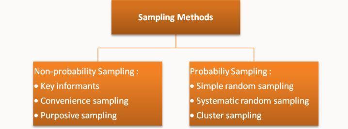 QIA Form 5 C.3 Sampling. If sampling was used, provide the following information.