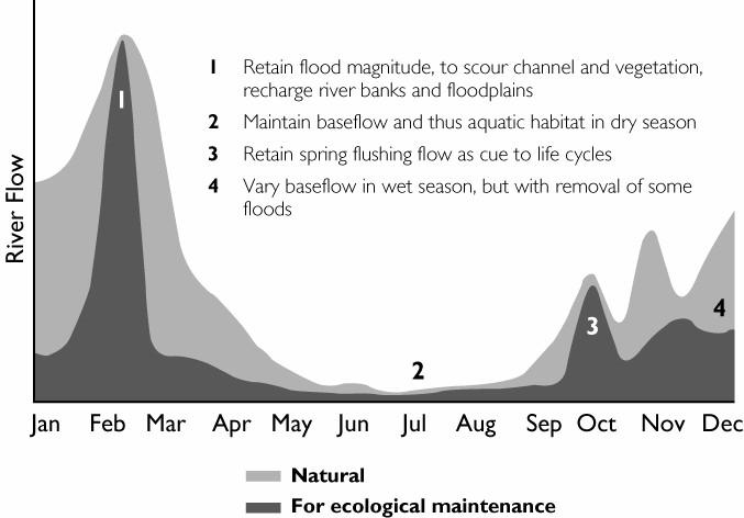 Maintaining Natural Flow Patterns From Rivers for Life: Managing Water for People and
