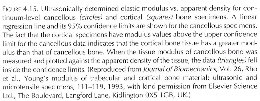Mechanical Properties of trabecular bone influence of the properties of trabecular tissue other tests with samples of small dimension, show a decrease on bone properties.