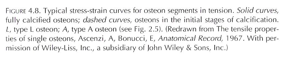 Mechanical properties of osteons tension test a = type T, b = type A, c = type L e = 0.01 = 1% = 10.