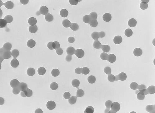 Figure 2. Scanning Electron Micrograph of Typical Acrylic Emulsion Particles III.