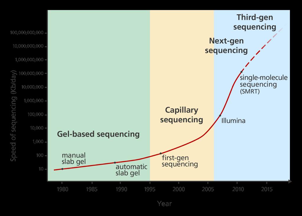 5. Sequencing Generation face to