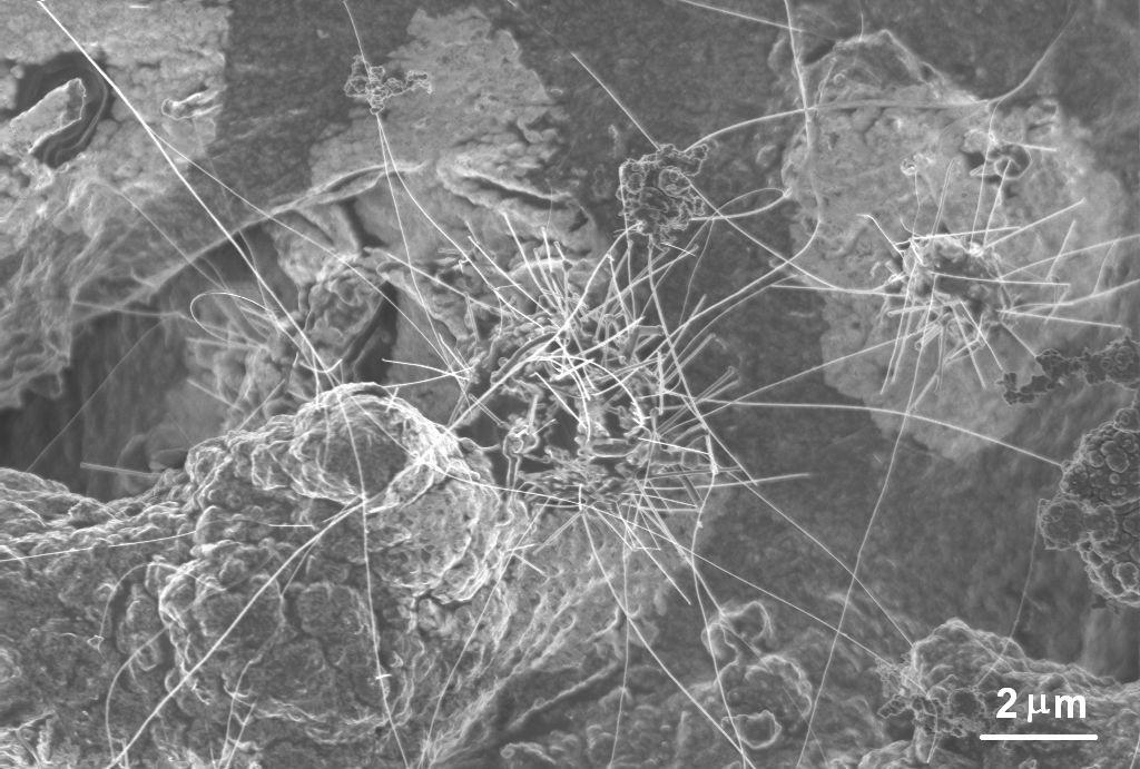 Crystalline Boron Nanowire SEM image of boron nanowires on alumina substrate TEM image of a boron nanowire Otten, Carolyn Jones; Lourie, Oleg R.; Yu, Min-Feng; Cowley, John M.; Dyer, Mark J.