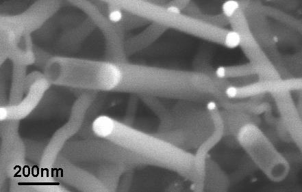 morphology Catalyst-assisted growth of nanowires and nanotubes.