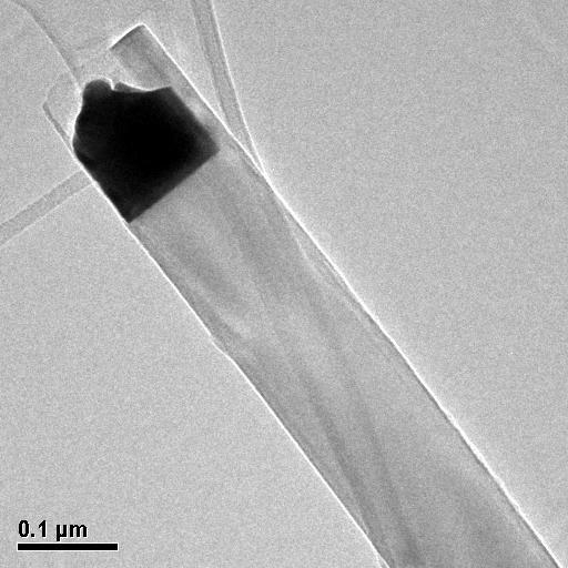 tube catalyst wire tube catalyst tube wire SEM image of nanowire and