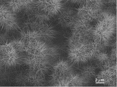 Crystal structure of CaB 6 CaB 6 : Experimental Conditions Low pressure chemical vapor deposition (LPCVD) growth of CaB 6 nanowires Reactant: B 2 H 6 gas precursor, CaO powder Catalyst: Ni, PtPd
