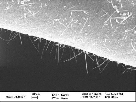 SiC nanowire grown from SiC
