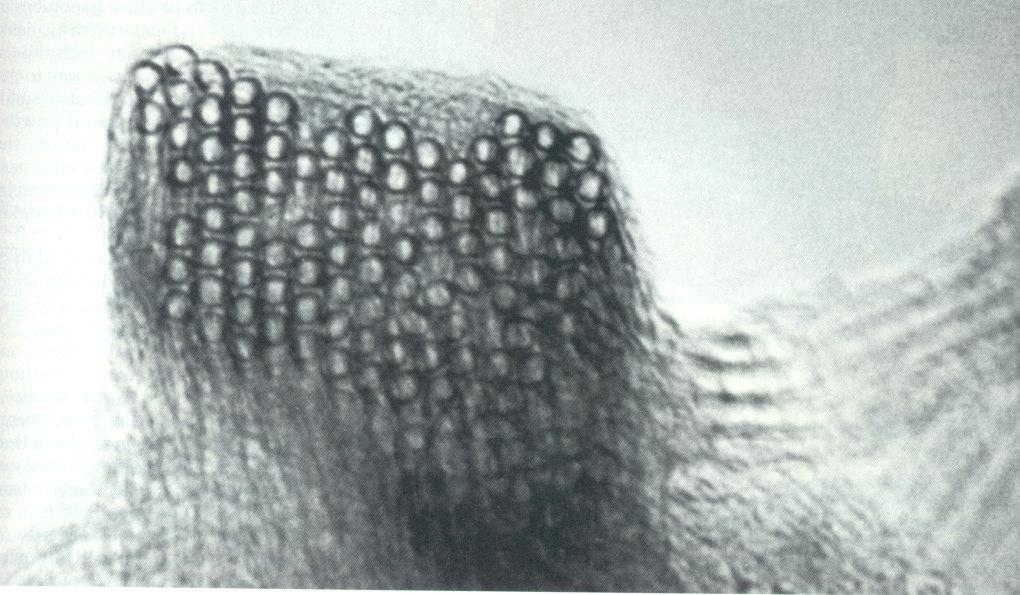 bundle, which is comprised of single-walled nanotubes with diameter ~ 1.4 nm. Thess et al.