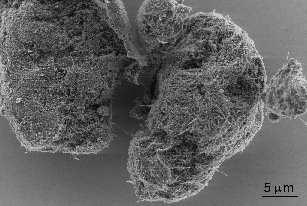 Arc-grown MWCNT Arc-grown Multi-wall Carbon Nanotubes (MWCNTs)