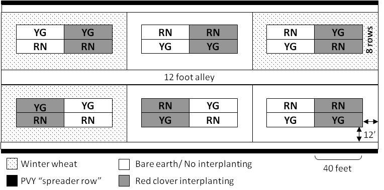 (A) (B) Figure 3: (A) Plot layout at Igl farm.