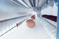 USA, Canada Europe, USA, Canada Developed Markets McDonald s plans a shift to eggs