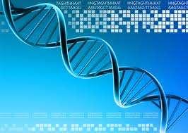 THE SEARCH FOR THE GENETIC MATERIAL "IF I HAVE SEEN
