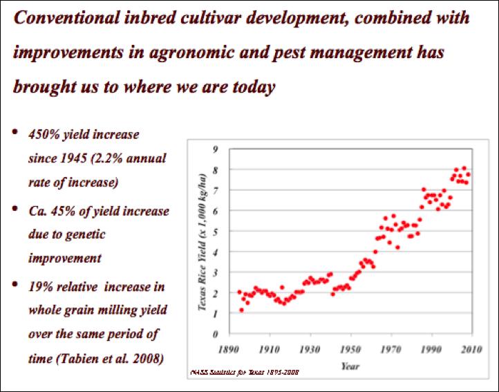 Opportunities for further yield increases through conventional and transgenic inbred and hybrid cultivar development holds tremendous potential for increasing supplies.