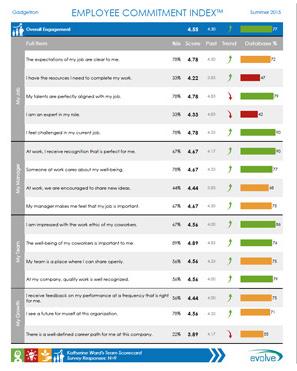 SCORECARD DATA The Employee Engagement Scorecard includes your overall engagement score and specific information related to each survey item.