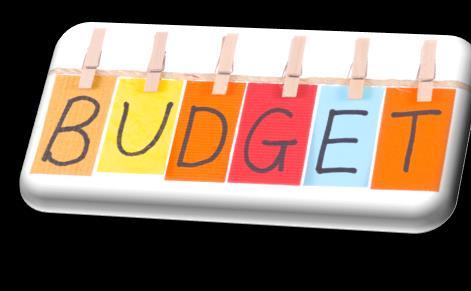 budget. 15% of survey participants indicated that the  budget.