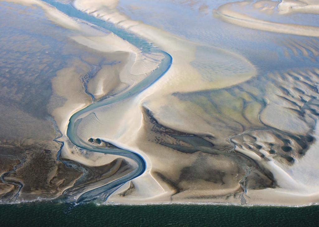 One Wadden Sea, One Global Heritage. A wealth of biodiversity.