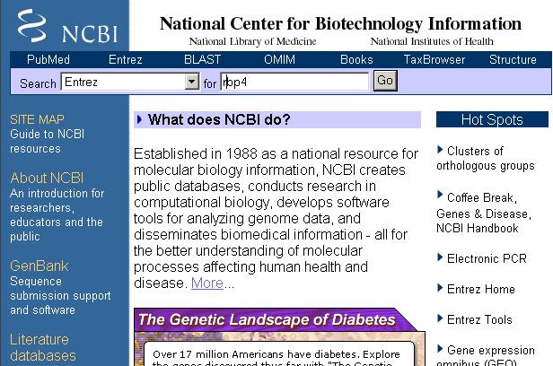 From the NCBI home page, type rbp4