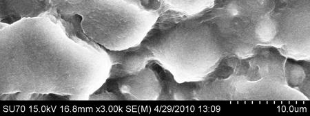 micrographs of the lyophilized silk:peo gel.