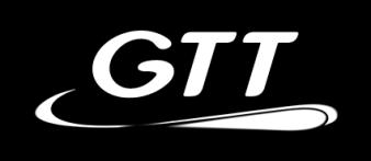 GTT SA organisation GTT Group Appendix: a streamlined group and organisation GTT North America Cryovision GTT Training GTT SEA PTE Ltd Cryometrics Philippe Berterottière* Chairman and Chief Executive