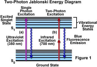 Principles of Two-Photon Excitation The phenomenon of two-photon excitation arises from the simultaneous absorption of two photons in a single quantitized event.